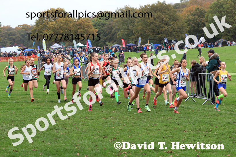 Girls Under-13s relay, 2025 Northern Cross Country Relays, Graves Park, Sheffield. Photo: David T. Hewitson/Sports for All Pics